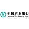 Organisation Logo