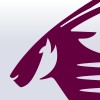 Organisation Logo